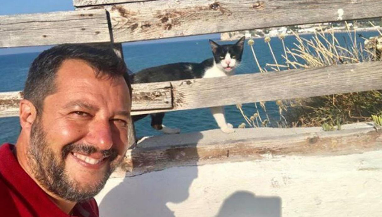 Salvini e Gatto